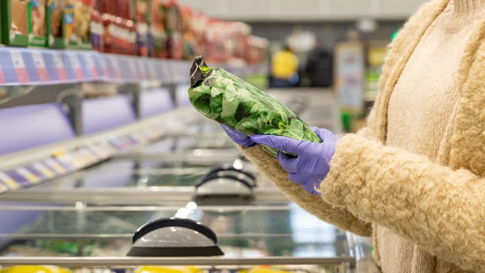 Loja de produtos congelados