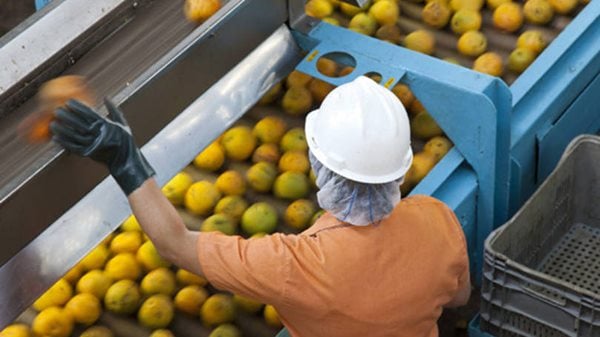 como abrir uma fábrica de sucos de laranja