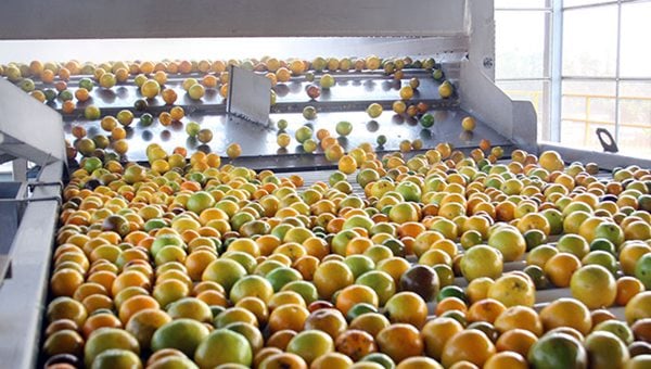 como montar uma fábrica de suco de laranja