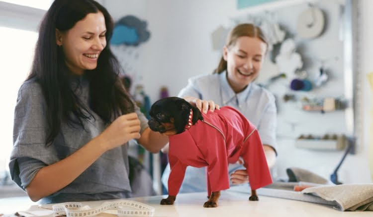 como montar uma fábrica de roupas para cachorro