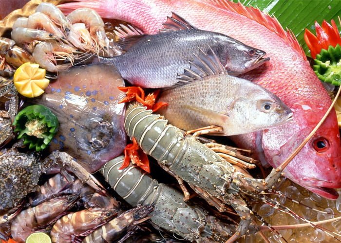 Como montar uma distribuidora de pescados