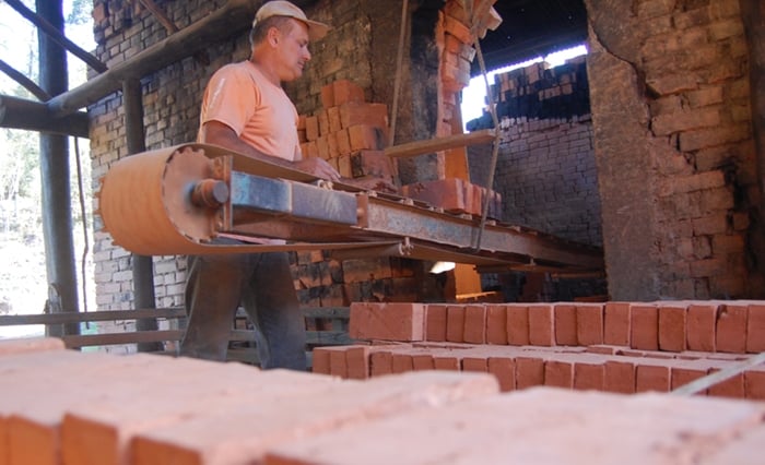 produção por milheiro