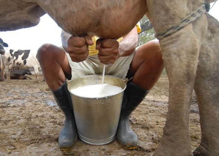 o que produzir em pequenas propriedades rurais