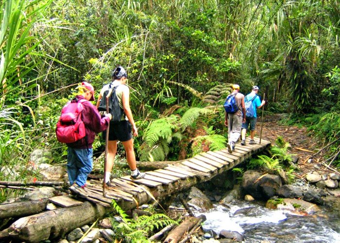 como montar uma agência de ecoturismo