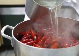 como montar uma fábrica de molho de pimenta