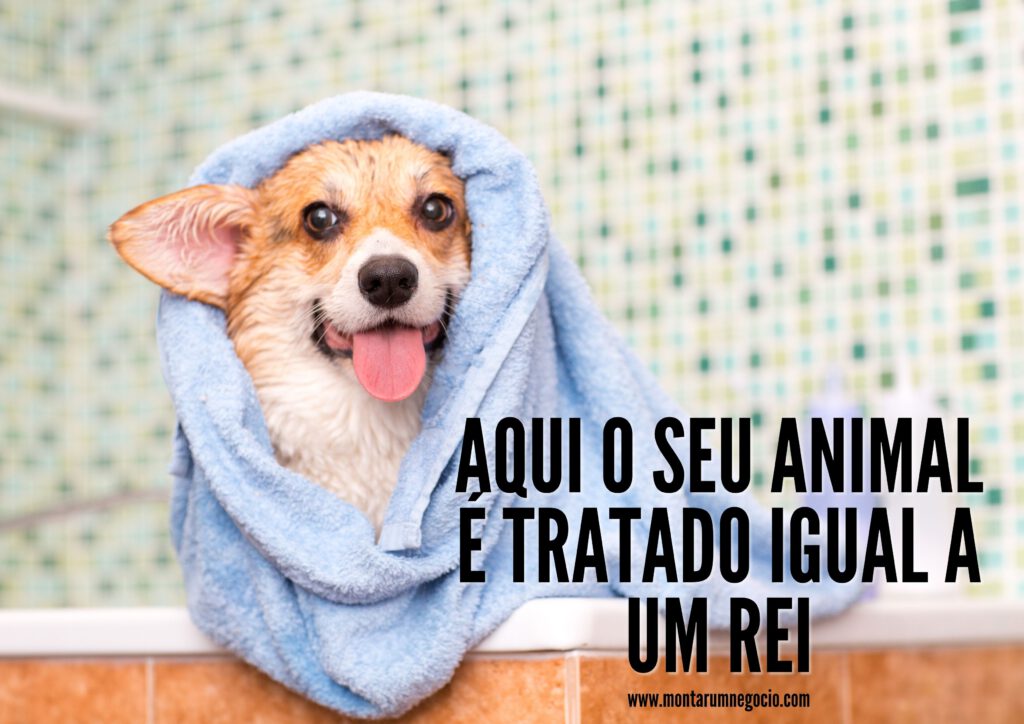 Frases para propaganda de banho e tosa