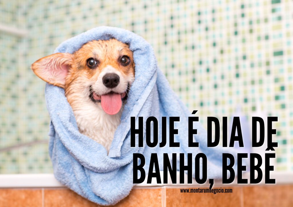 frases banho cachorro