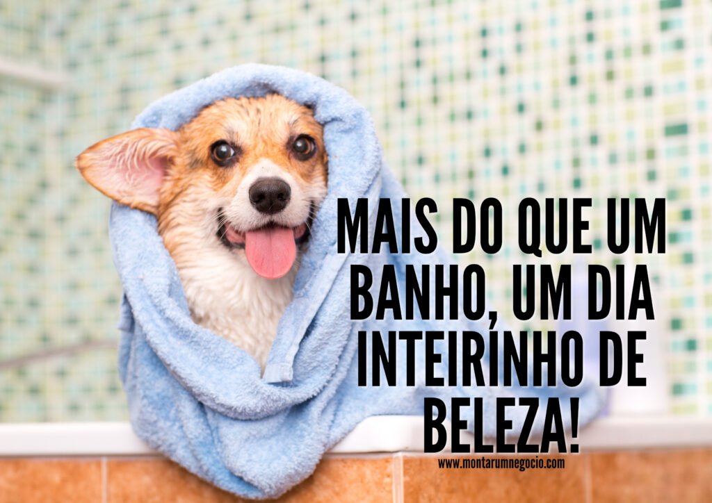 propaganda de banho e tosa