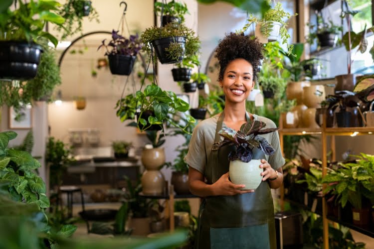 negócio pequeno de plantas e vasos