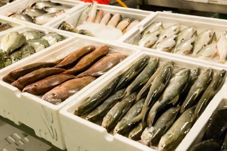 equipamentos para um frigorífico de peixe de pequeno porte